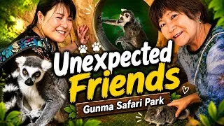 Thumbnail: Meet Japan's Friendliest Exotic Animals! | Gunma Safari Park