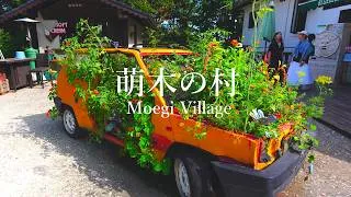 Thumbnail: The lovely gardens of "Moegi Village," where lilies and summer flowers bloom.