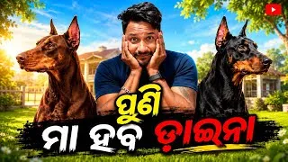 Thumbnail: ଏ ବାଇସ ଏଠି କିସ କରିବ କୁହ 😜 || ପୁଣି ମା ହବ ଡ଼ାଇନା..❤️