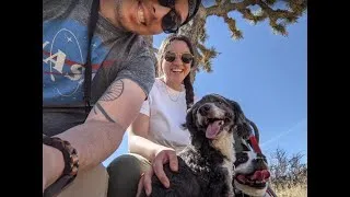 Thumbnail: A Van Life Adventure (Joshua Tree, Salton Sea, Anza Borrego, Julian, San Diego)