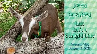 Thumbnail: Life isn't a Straight Line | Jared Unzipped | August 5, 2026