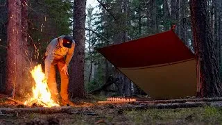 Thumbnail: Solo Bushcraft Tarp Camping in Remote Forest