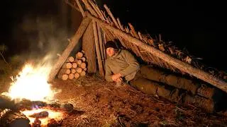 Thumbnail: Survival Shelter Camping Alone (No Sleeping Bag)