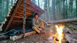Thumbnail: Winter Survival Shelter Camping Alone (No Sleeping Bag)
