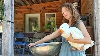 Thumbnail: Homeschooling and Feeding 11 on the Homestead
