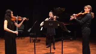 Thumbnail: Dvorak Terzetto - Movement 1 - Op 74 - Sydney Academy of Chamber Music