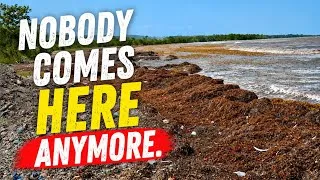 Thumbnail: This Once-Beautiful Jamaican Beach Is Now Forgotten