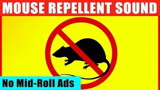 Thumbnail: Mouse & Rat Ultrasonic Deterrent 🔴 12 Hours of Anti-Rat Repellent Sounds (Guaranteed to Scare Mice)