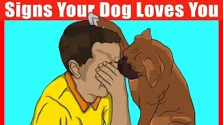 Thumbnail: 35 Signs Your Dog Loves You