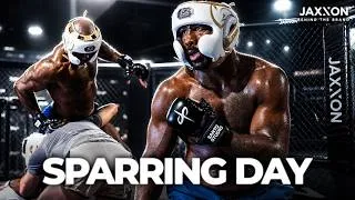 Thumbnail: INSIDE Khalil Rountree's insane Sparring session at Jaxxon Media House
