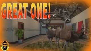 Thumbnail: Great One Down! Biggest Trophy in Game! in thehunter Call of the Wild 2021