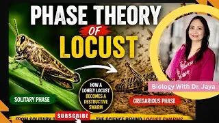 Thumbnail: PHASE THEORY OF LOCUST#SOLITAROUS AND GREGARIOUS PHASE#ENTOMOLOGY#M.Sc & B. Sc# ALL UNIVERSITIES