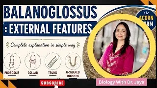 Thumbnail: Balanoglossus #ExternalFeatures #Hemichordata #AcornWorm #B. Sc & M. Sc.#KU & SDS & SSJ University 
