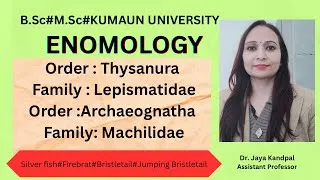 Thumbnail: ORDER THYSANURA#ZYGENTOMA#ARCHEOGNATHA#FAMILIES: LEPISMATIDAE#MACHILIDAE#ENTOMOLGY#NET#PGT#TGT