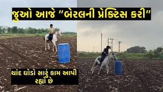 Thumbnail: બેરલ રેસની પ્રેક્ટિસ 🐎| Jay Sakariya | Horse Riding | Barrel Racing | Riding Club | Rajkot | Horses