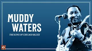 Thumbnail: Muddy Waters - The King of Chicago Blues