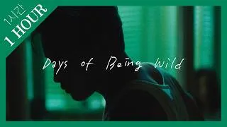 Thumbnail: [Playlist] (1 Hour) Latin Jazz Songs in 'Days of Being Wild’