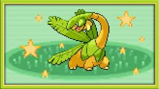 Thumbnail: [LIVE] Shiny 9% Tropius after 22,608 REs in Pokémon Sapphire (DTQ #6)