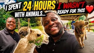 Thumbnail: I Spent 24 Hours With Animals… I Wasn’t Ready for This ❤️