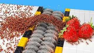 Thumbnail: 1,000 ANTS vs LEGO OBSTACLES...
