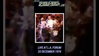 Thumbnail: BEE GEES: HERE AT LAST...LIVE