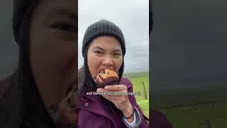 Thumbnail: Afternoon Tea in a Manor: Day 6 Ireland ☘️