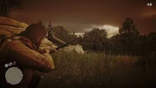 Thumbnail: Bird Finished Video
