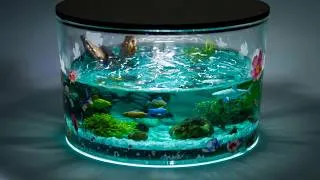 Thumbnail: DIY Mini Aquarium Lamp from Epoxy Resin | Fish Diorama Resin Art