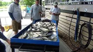Thumbnail: Arkansas Adventure 2026, the Toledo Bend experience.
