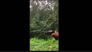 Thumbnail: Runaway c02 gun malfunction