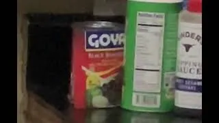 Thumbnail: Did the Can moved by itself [read description to see what it really was downrange]