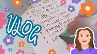 Thumbnail: Rearranging, Constructing Shelves 🌱 Brainstorming A Picture Book 🌱 Small Art Business Vlog