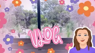 Thumbnail: Small Business + Other Things Vlog