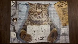 Thumbnail: Eurographics Feline Felon 1,000 Piece Jigsaw Puzzle