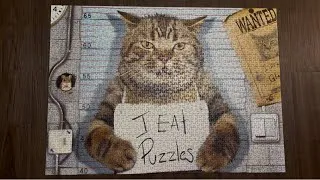 Thumbnail: Showing Off My Finished 1,000 Piece Cat Puzzle