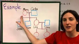 Thumbnail: Pedigree Charts