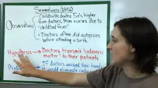 Thumbnail: The Scientific Method