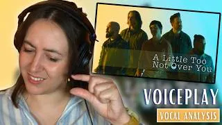 Thumbnail: VOICEPLAY & David Archuleta did what?! A Little Too Not Over You (Reaction & Analysis)
