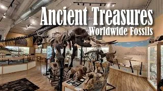 Thumbnail: The Best Kept Secret in South Dakota? (World Fossil Finder Museum)