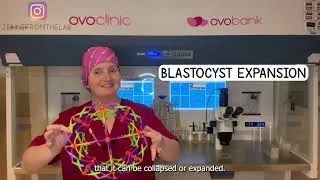 Thumbnail: EMBRYO GRADING