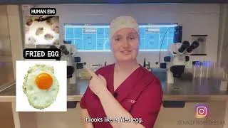 Thumbnail: Mature vs Immature Egg