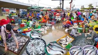 Thumbnail: Cambodia Fish Market & More - Fish Distribution, Seafood, & More - Morning Market
