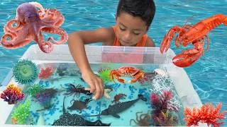Thumbnail: Jeremy creates an Ocean at home! Manta Rays, Sharks, Starfish,