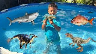 Thumbnail: Which Dinosaurs and Animals Sink and Float? Pool Collection Play