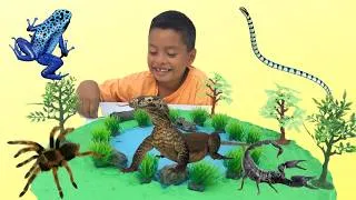 Thumbnail: Venemous Poison Animals Diorama | Learn Dangerous Animals