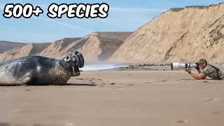 Thumbnail: I Visited California’s #1 Wildlife Photography Spot