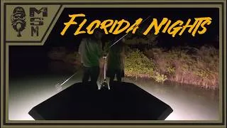 Thumbnail: Night Gigging in Florida (You Never Know What You'll See)