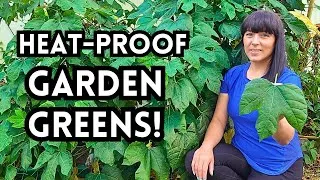 Thumbnail: Tropical Leafy Greens for Full Sun Gardens