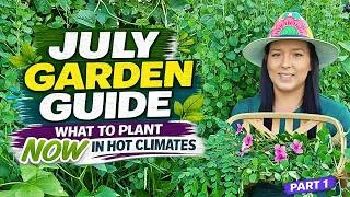 Thumbnail: The Best Crops To Plant In July For Hot & Tropical Climates Like Florida