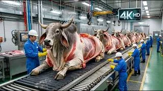 Thumbnail: Inside the Massive White Brahman Leather Factory | How Luxury Bags are Made from Raw Leather